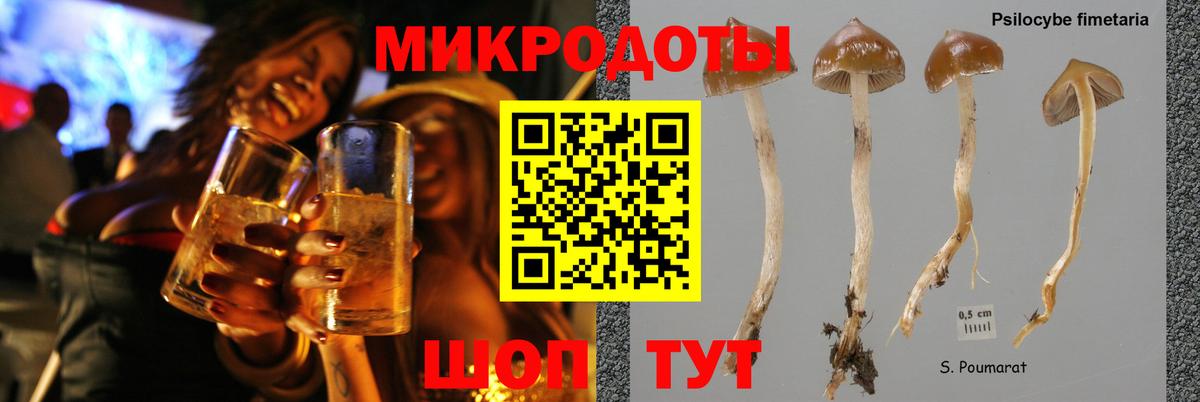 Новокузнецк  Галлюциногенные грибы Psilocybine cubensis  Галлюциногенные грибы мицелий  Вход с VPN 